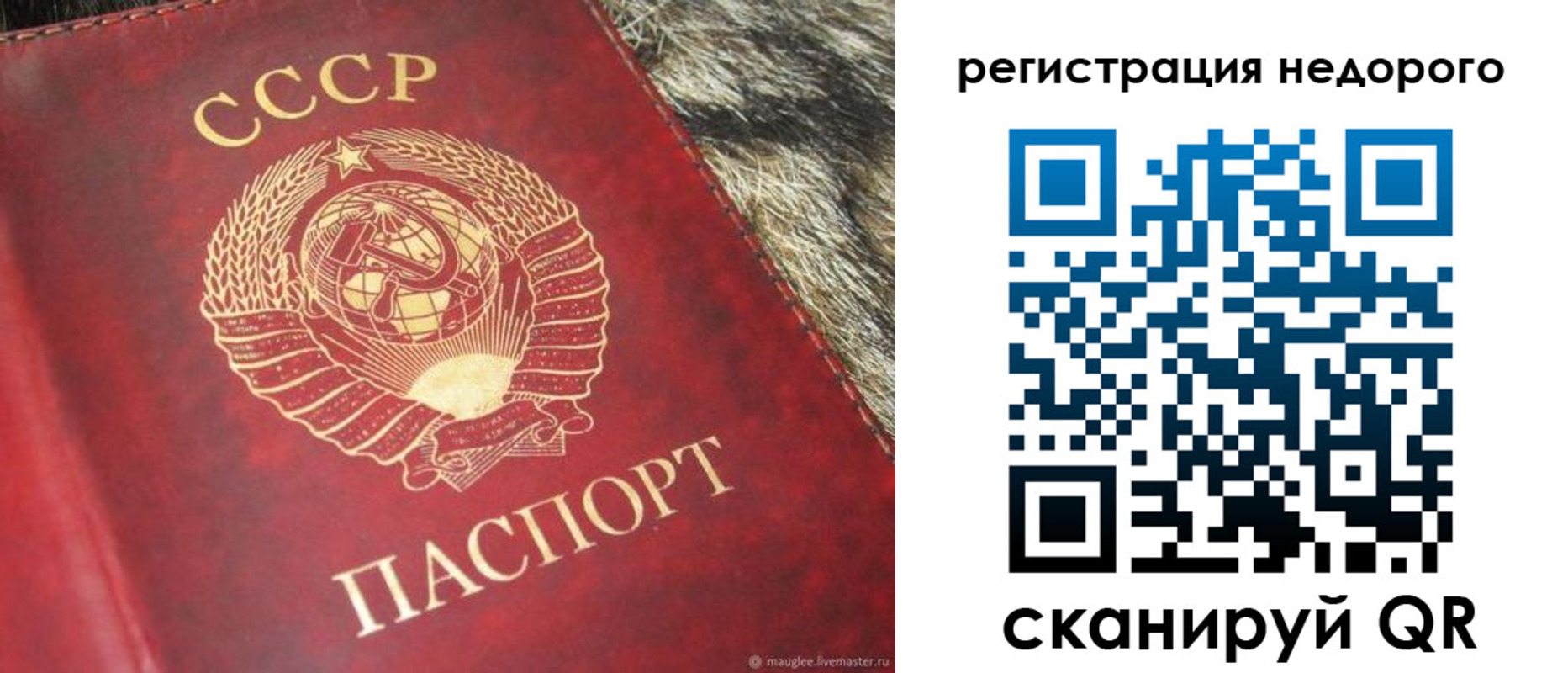 прописка ребенка в Чкаловске
